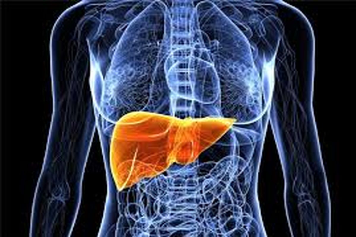 بیماری های گوارش و کبد