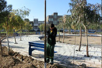 هزینه بیش از ۶ میلیارد تومان برای ایمنی بوستان‌ها در قم