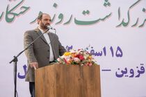 توسعه درختکاری و فضای سبز از اولویتهای شورای ششم است