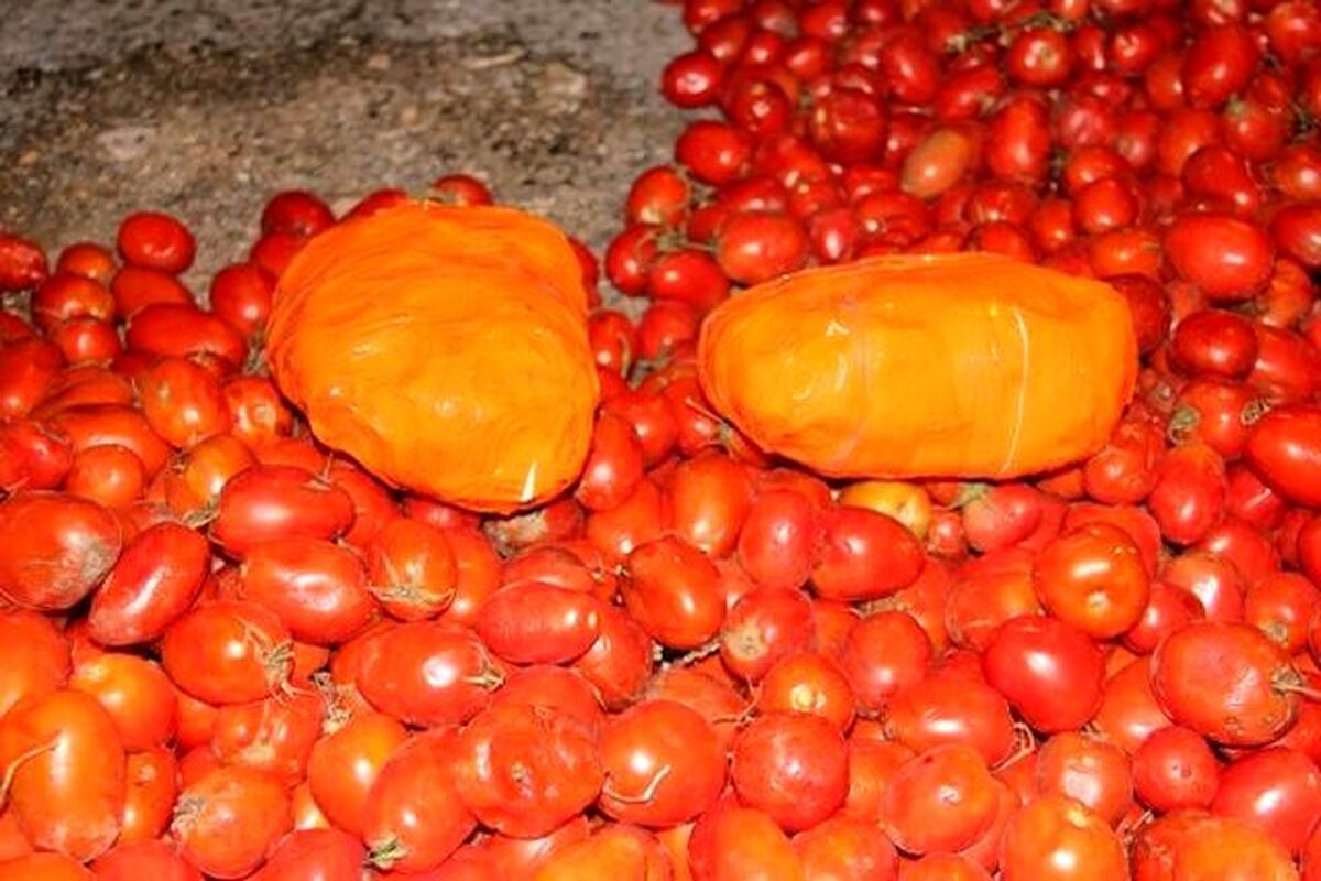 اصفهان- کشف تریاک از بار گوجه