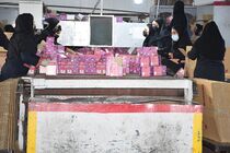 5300 درخواست سخت و زیان آور در کمیته های بدوی و تجدید نظر استان رسیدگی شده است