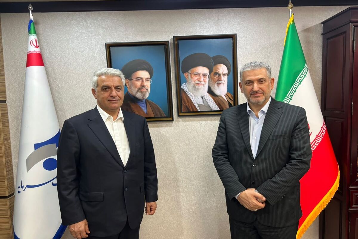 بانک سرمایه