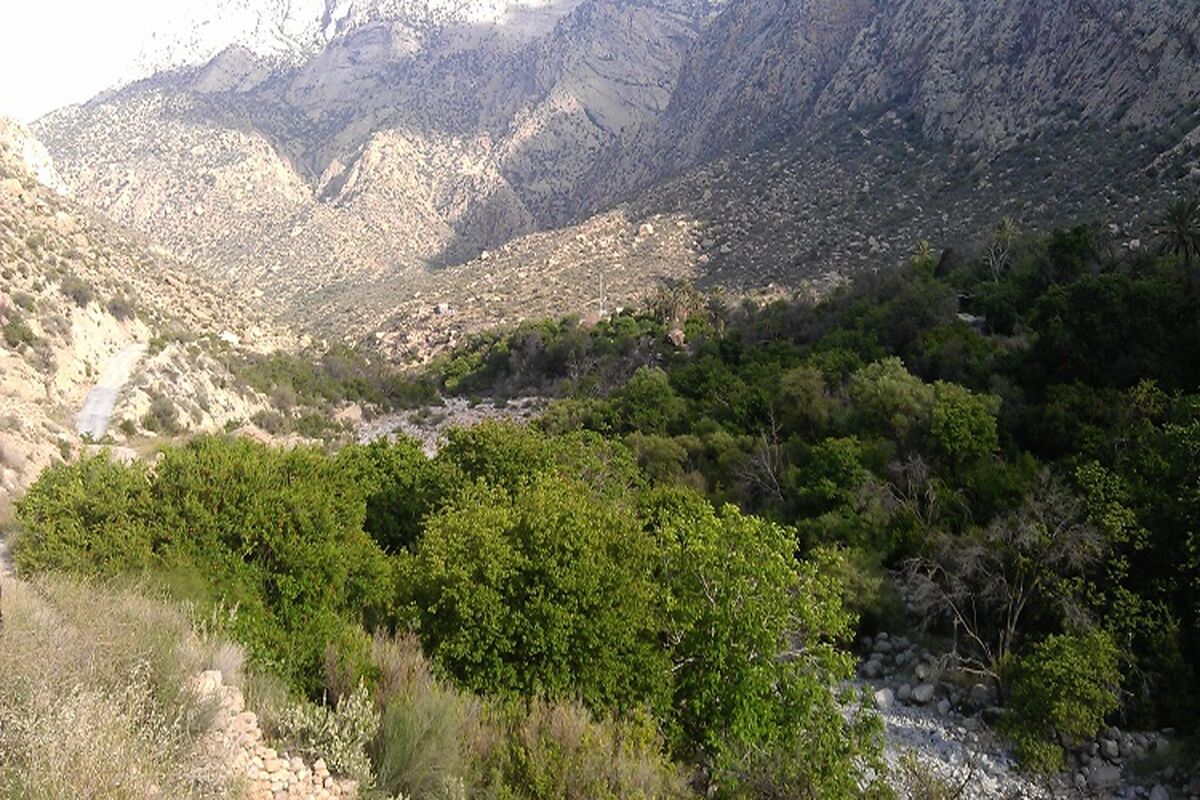 طبیعت هرمزگان