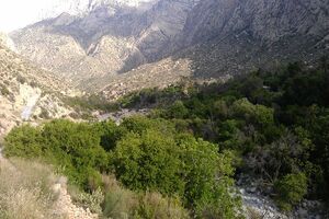 حفاظت مشارکتی جهت صرفه جویی در هزینه های حفط و احیای منابع طبیعی هرمزگان