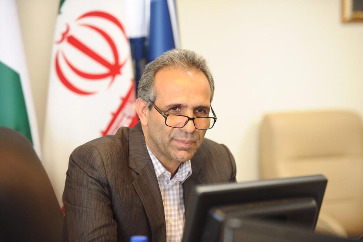 مدیرعامل شرکت سرمایه گذاری صدر تامین