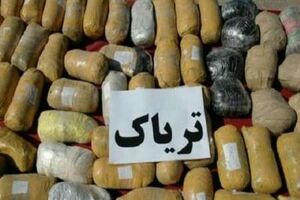 کشف حدود یک تن تریاک در یکی از زمین های کشاورزی بندرلنگه