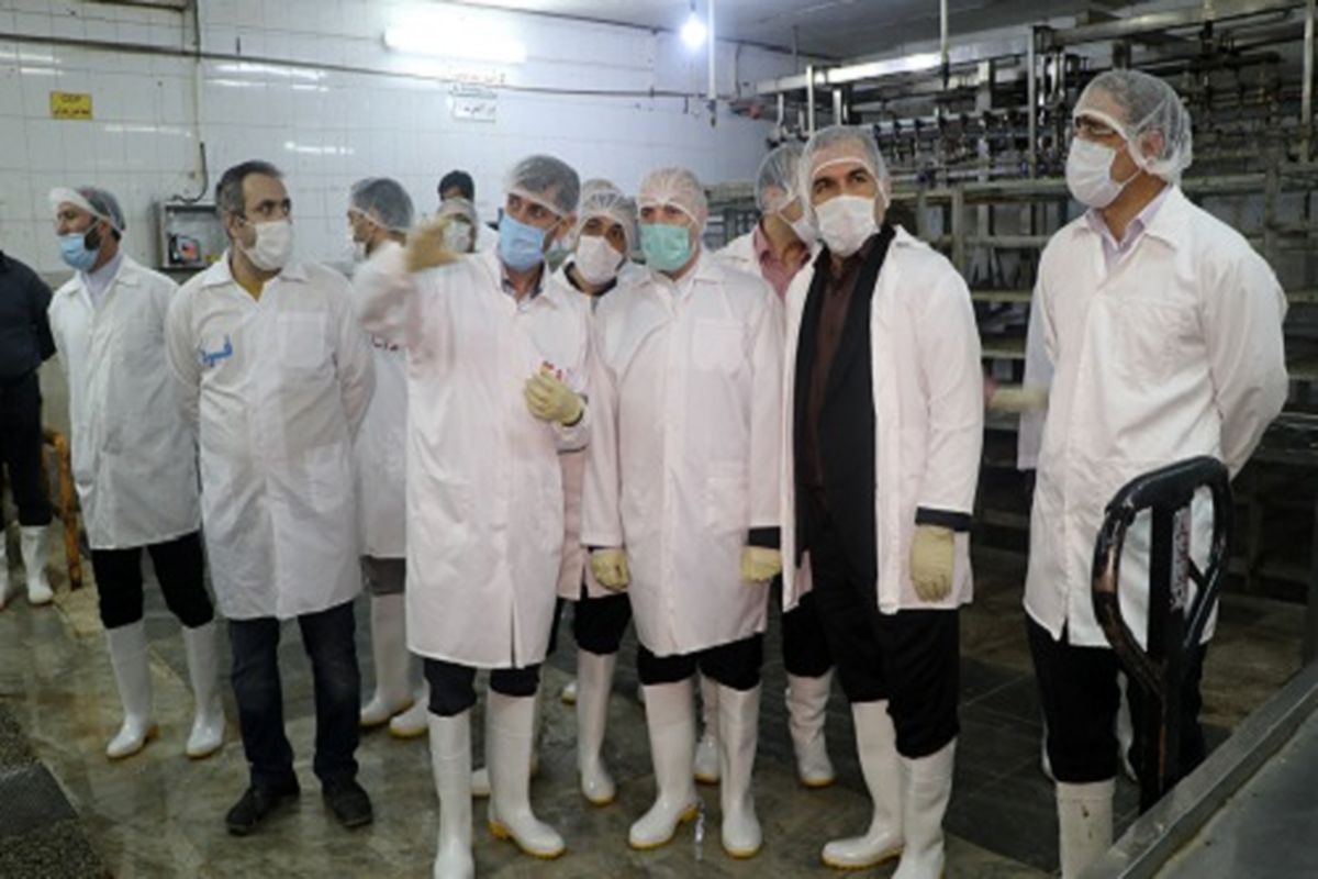 فرماندار قم