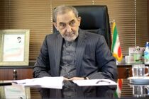 ولایتی به رئیس سازمان بهینه سازی و مدیریت انرژی تسلیت گفت
