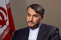 دیپلماسی و میدان دو بازوی محقق کننده منافع ملی هستند/وزارت خارجه را به برجام گره نخواهیم زد