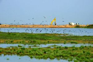 تالاب صالحیه البرز احیا می شود