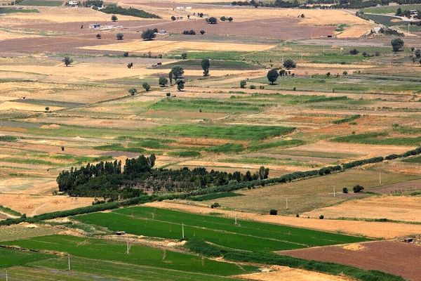 سازمان امور اراضی خدمات‌دهی خود را با هوش مصنوعی بهبود می‌دهد