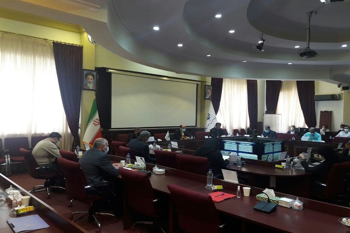 فدراسیون قایقرانی