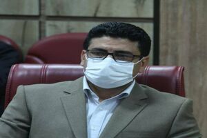 تشکیل 310 پرونده تخلف در نانوایی های استان ایلام