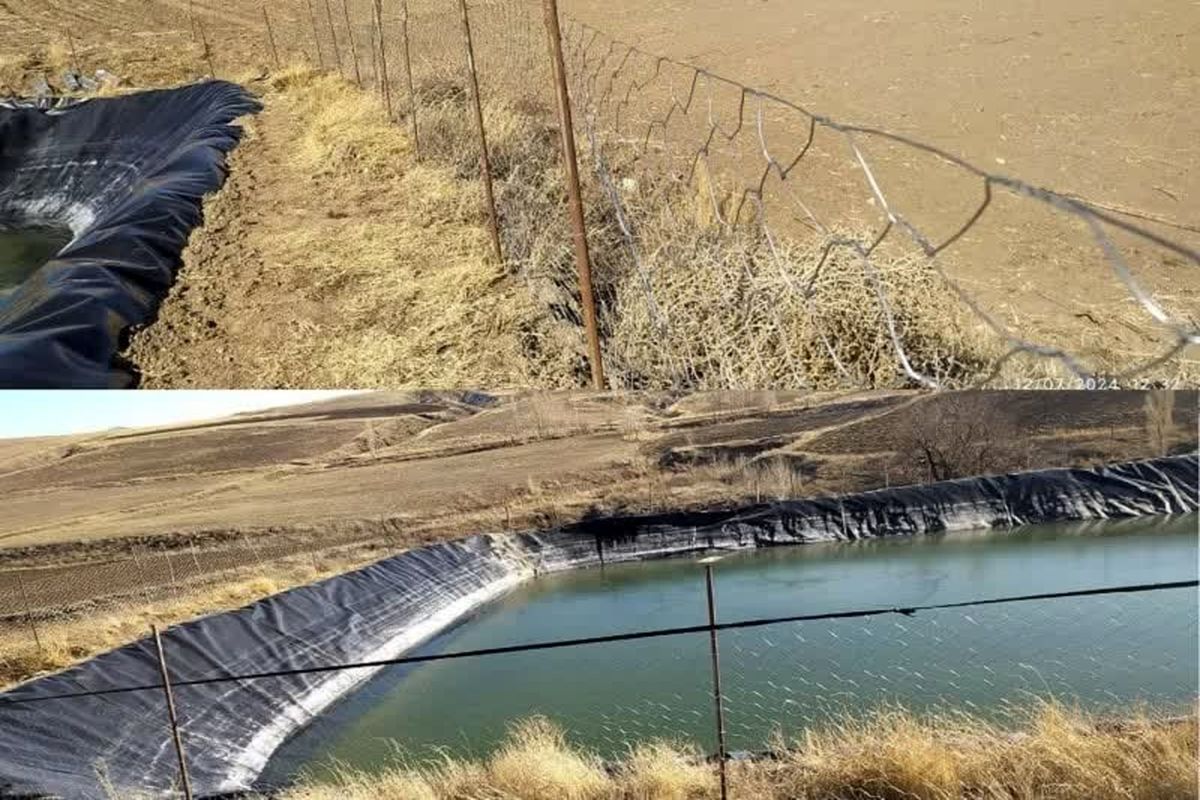 فنس کشی خلخال