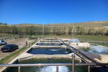 احیای مزرعه ۳۵ تنی ماهیان سردآبی 