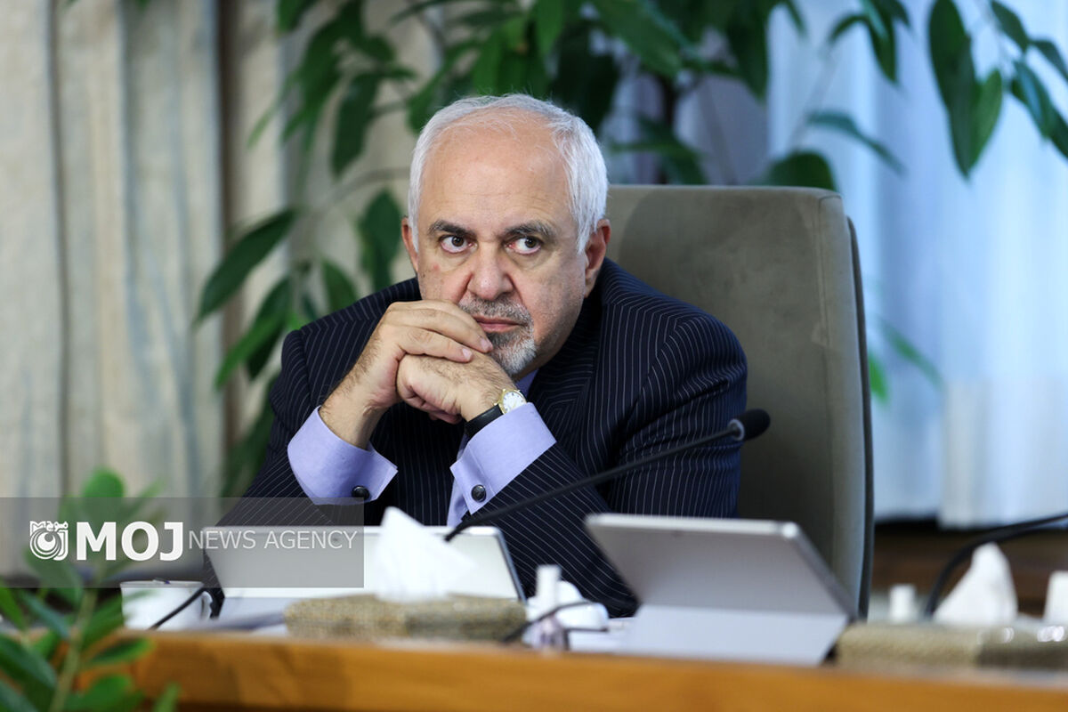 محمدجواد ظریف - معاون راهبردی رئیس جمهور