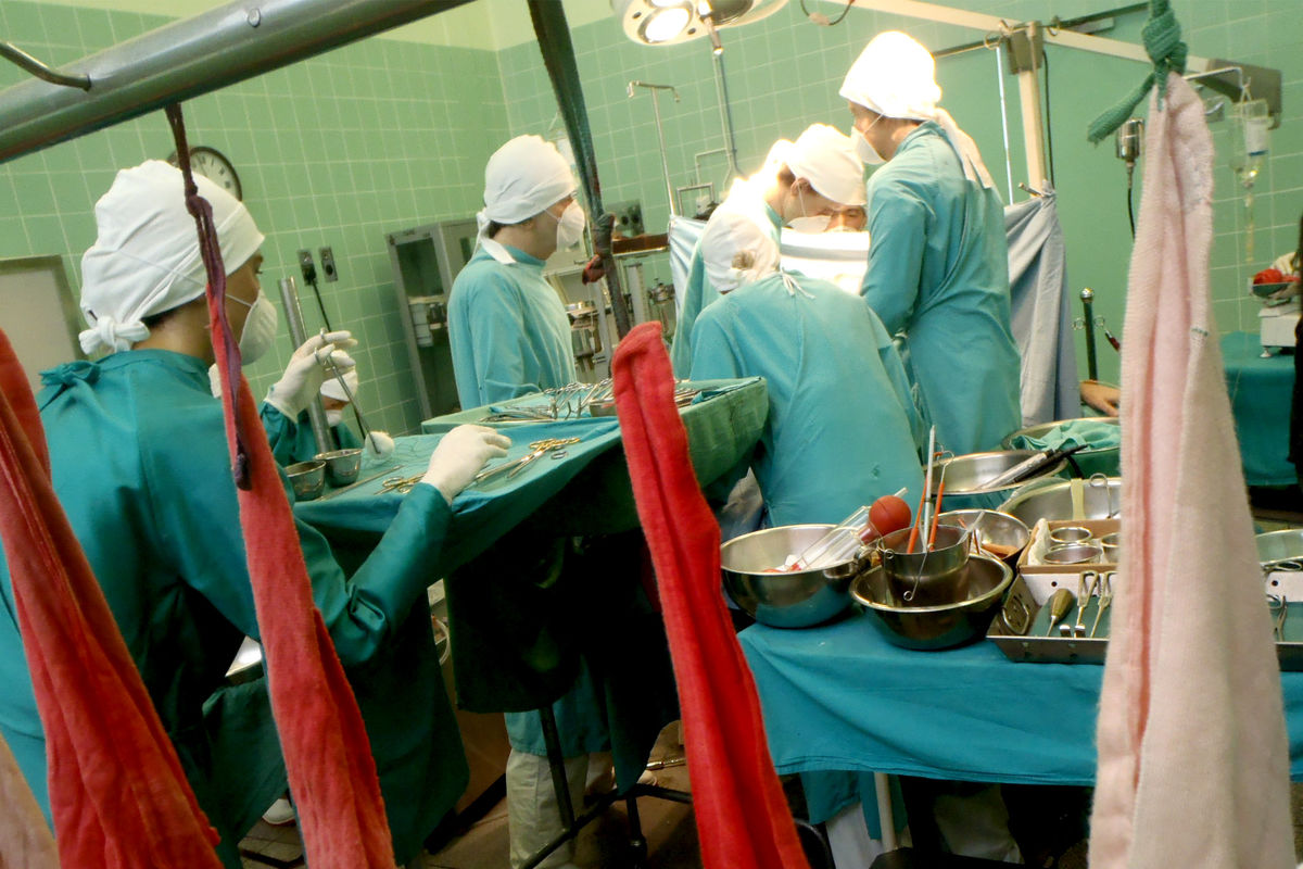  پیوند اعضاء