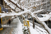 هواشناسی/ بارش پراکنده برف و باران در ۵ استان + فیلم