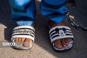 دستگیری کلاهبردار میلیاردی در کیش