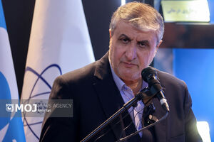 رییس سازمان انرژی اتمی درگذشت اشرف بروجردی را تسلیت گفت