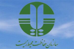 سازمان محیط زیست به مطالب منتشر شده درباره کمک‌های ژاپن به احیای دریاچه ارومیه واکنش نشان داد
