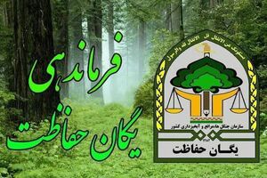 نوسازی تجهیزات حفاظتی در جنگل‌های میاندورود کلید خورد