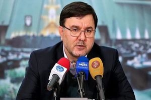 عذرخواهی وزیر اقتصاد از درازهی/ فردا نتیجه نهایی این موضوع به مجلس اعلام می شود