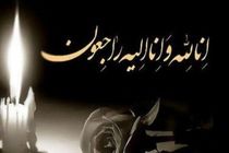 مدیر عامل بانک توسعه صادرات عزادار شد