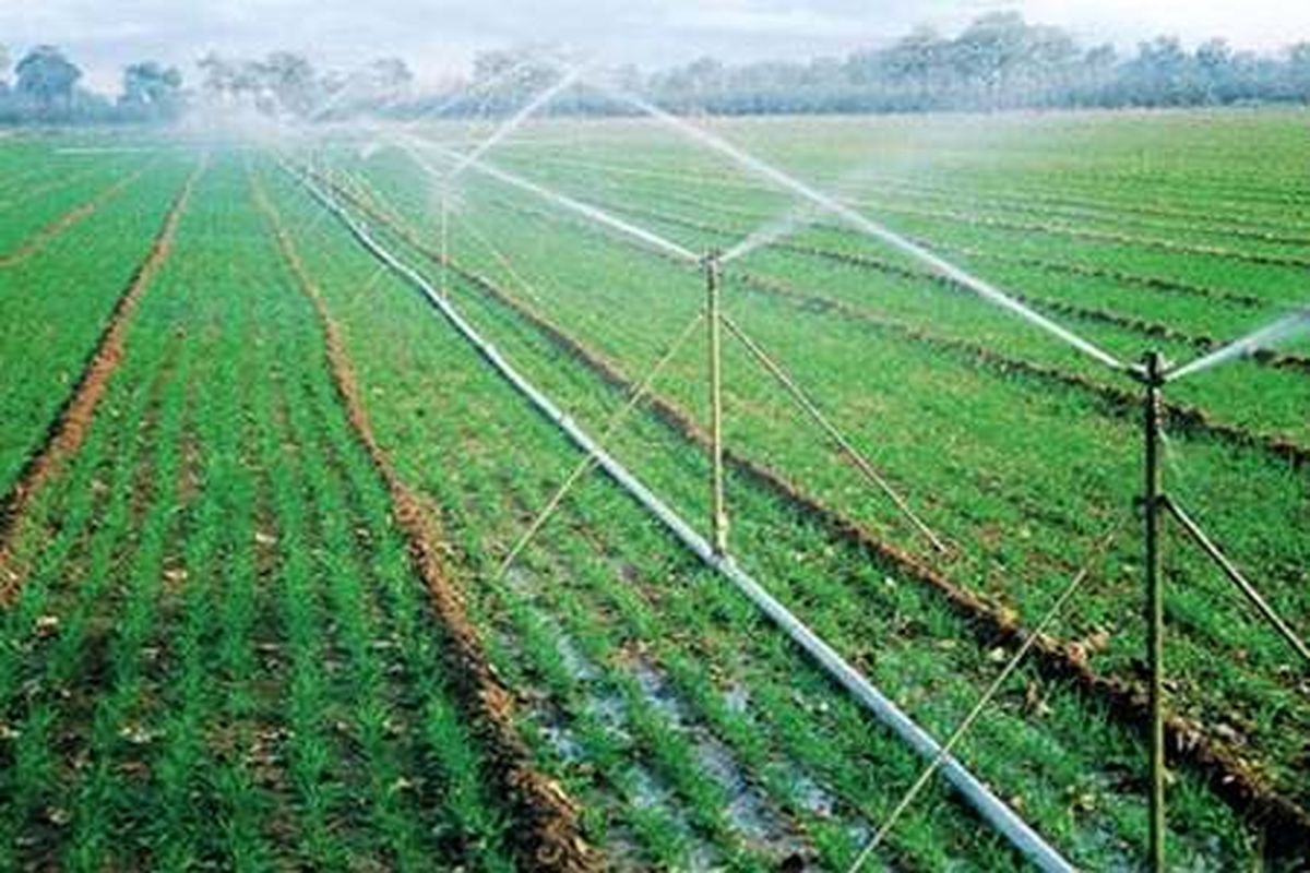 اصفهان- جهاد کشاورزی