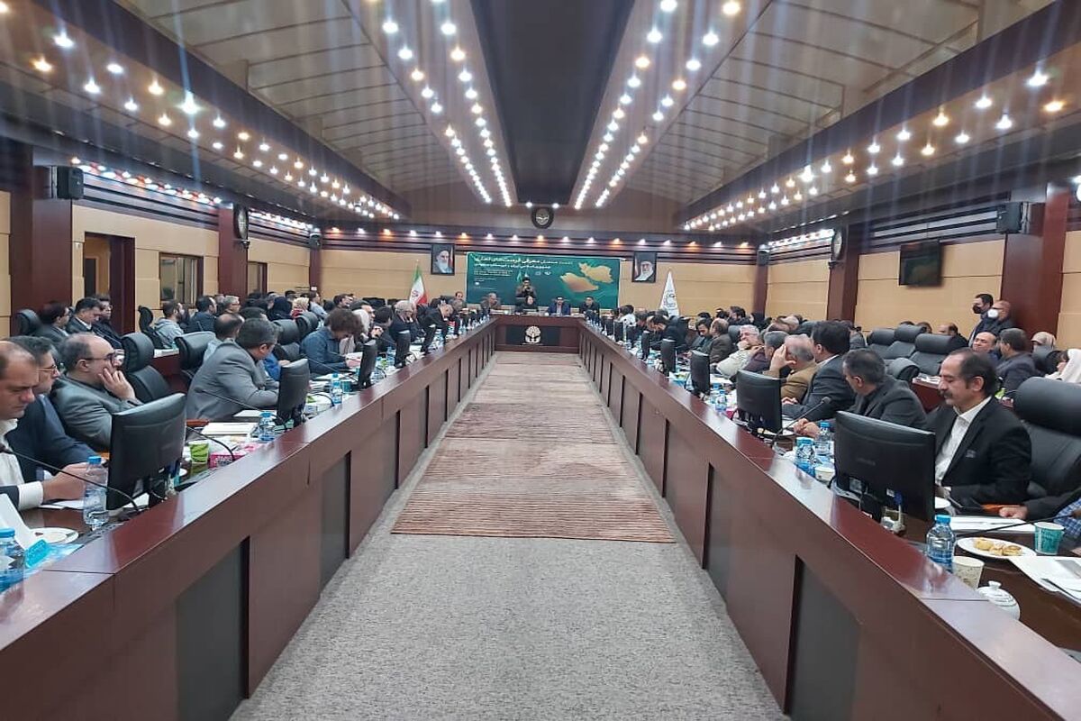 سازمان توسعه تجارت ایران