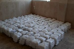 توزیع ۱۲ هزار غذای گرم و ۲۲ هزار میان وعده میان زائران حرم بانوی کرامت