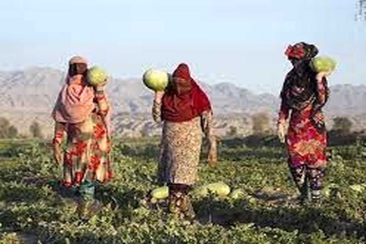 هندوانه شب یلدا