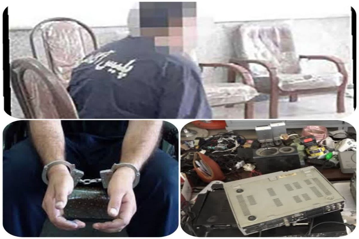 دستگیری سارق