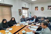 مبارزه با قاچاق خودروهای گذر موقت نیازمند اقدامات پیشگیرانه است