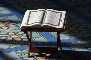 تلاوت جزء دوم قرآن کریم با صدای استاد حامد شاکرنژاد+دانلود