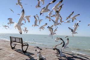 آرامش بر وضعیت جوی و دریایی هرمزگان حکم فرماست