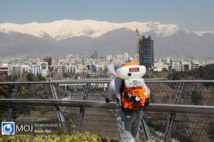 پل طبیعت تا اطلاع ثانوی تعطیل شد