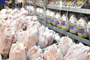 آغاز توزیع گسترده مرغ منجمد در چهارمحال و بختیاری