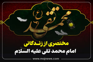 اینفوگرافیک/زندگی نامه امام محمد تقی"ع"