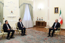 دیدار سفرای جدید ایران با مسعود پزشکیان در نهاد ریاست‌جمهوری