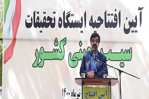 ظرفیت صنایع تبدیلی برای سیب زمینی به ۴۰۰ هزار تن می رسد