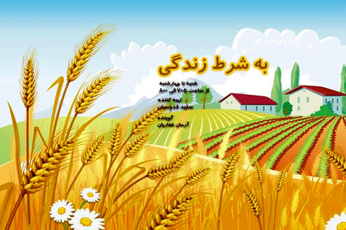 برنامه به شرط زندگی