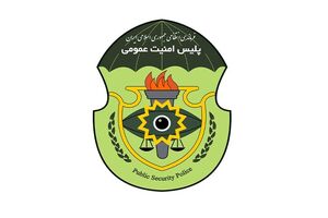 شبکه جاسوسی مرتبط با رسانه‌های معاند توسط پلیس دستگیر شدند