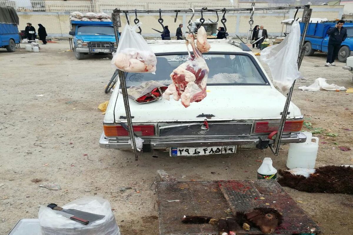  کشتار غیرمجاز در کرمانشاه