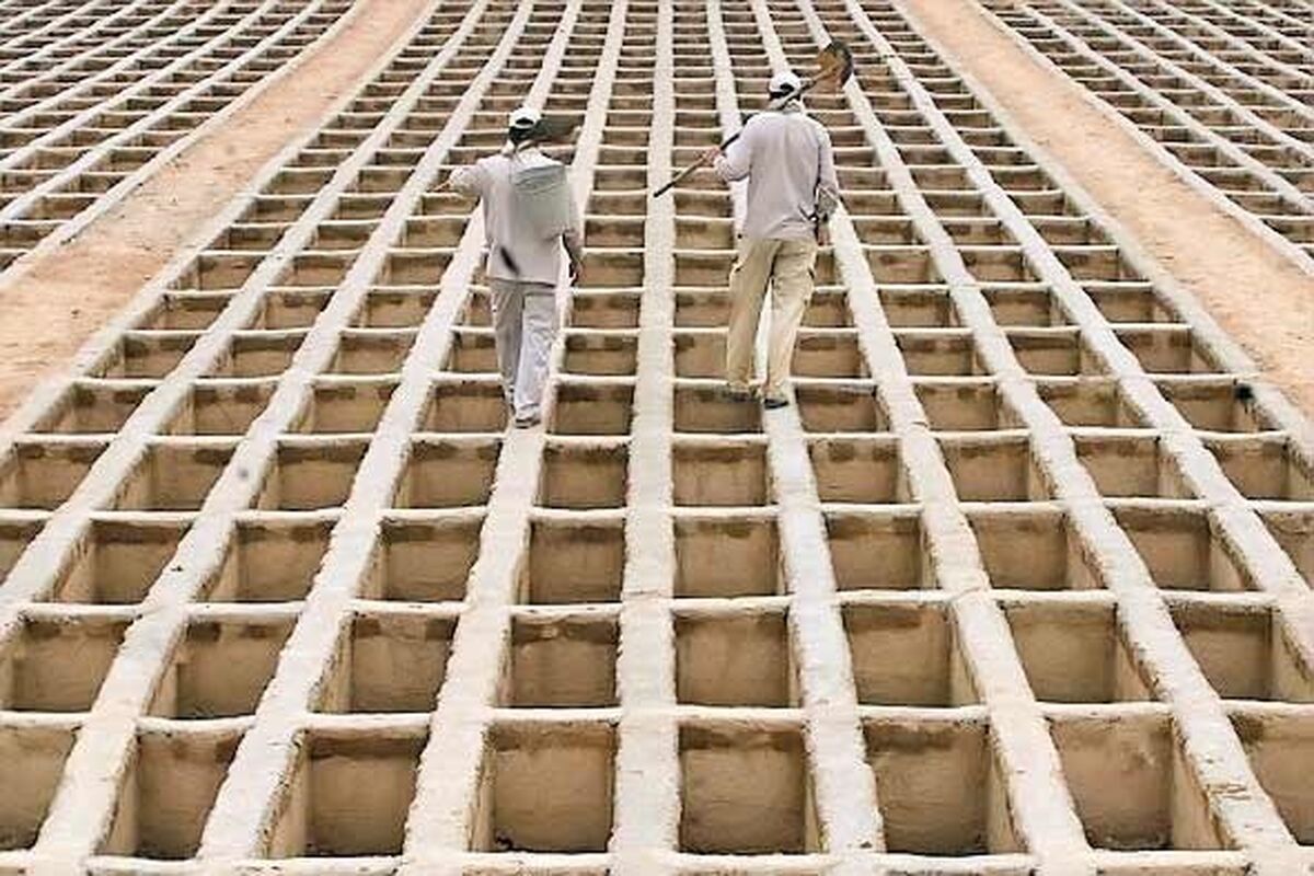 قبرستان فوتی بهشت زهرا 