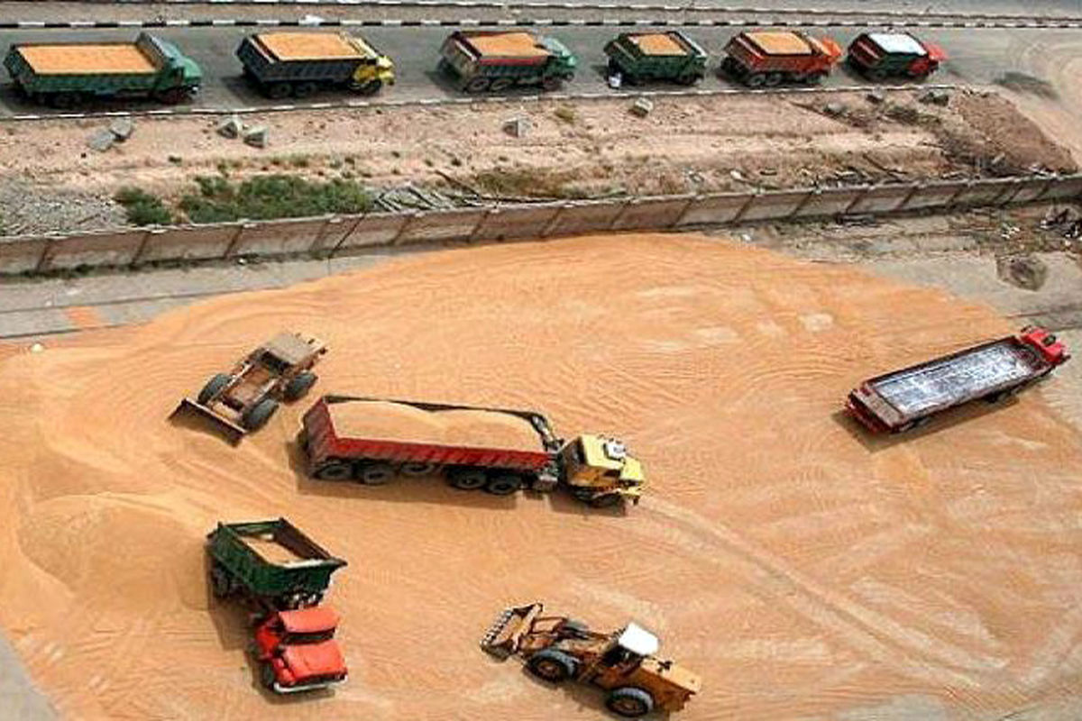 خرید گندم لرستان