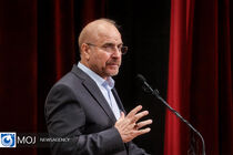 مجلس به بازار گوشت قرمز، مرغ و برنج ورود می‌کند