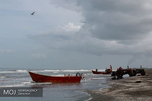 ممنوعیت صادرات ماهی خشک از گمرک سازمان منطقه آزاد قشم صحت ندارد