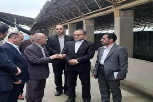 نگاه ما به حوزه شیلات باید ارز آور و اشتغال زا باشد