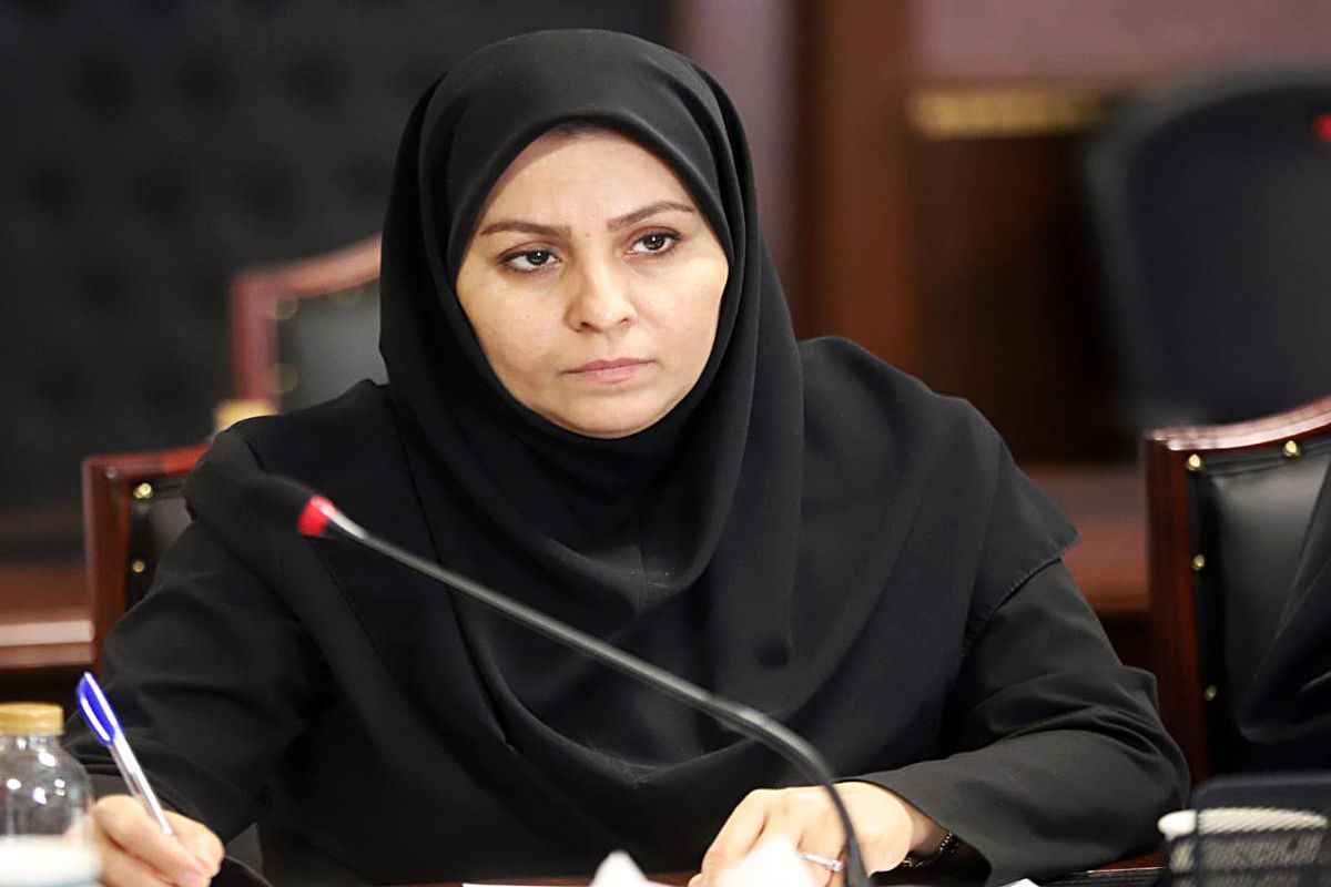 مدیر امور نهادهای مالی دبیرخانه شورای‌عالی مناطق آزاد